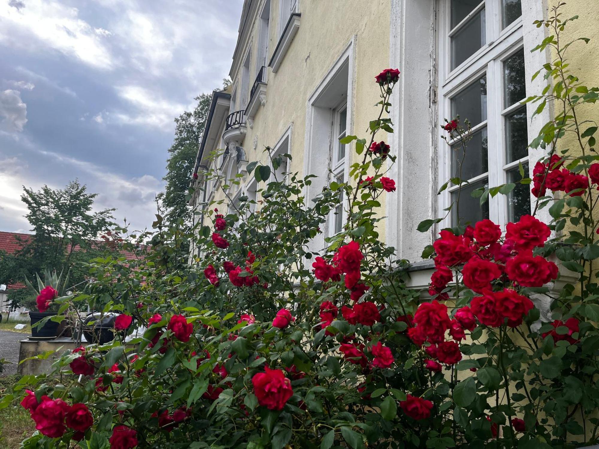 Gut Manderow An Der Ostsee Hohenkirchen  Exteriér fotografie